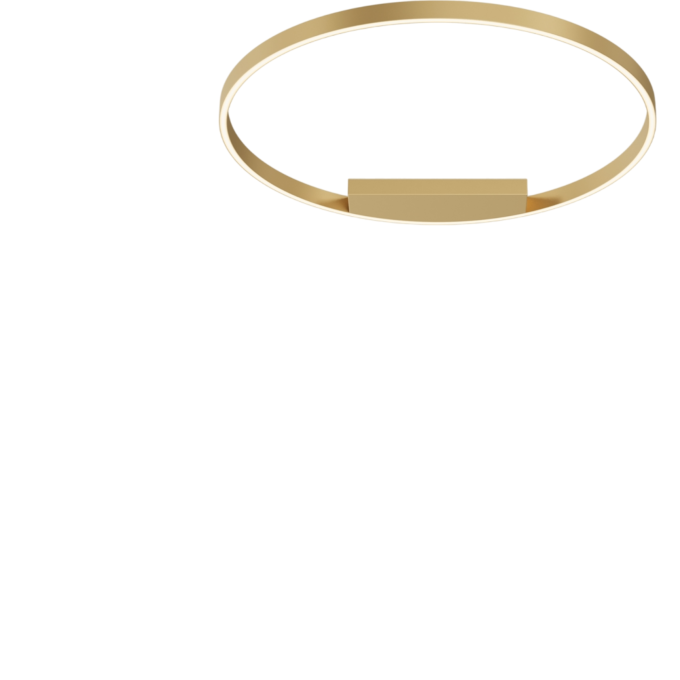 Потолочный светильник MAYTONI RIM MOD058CL-L50BSK
